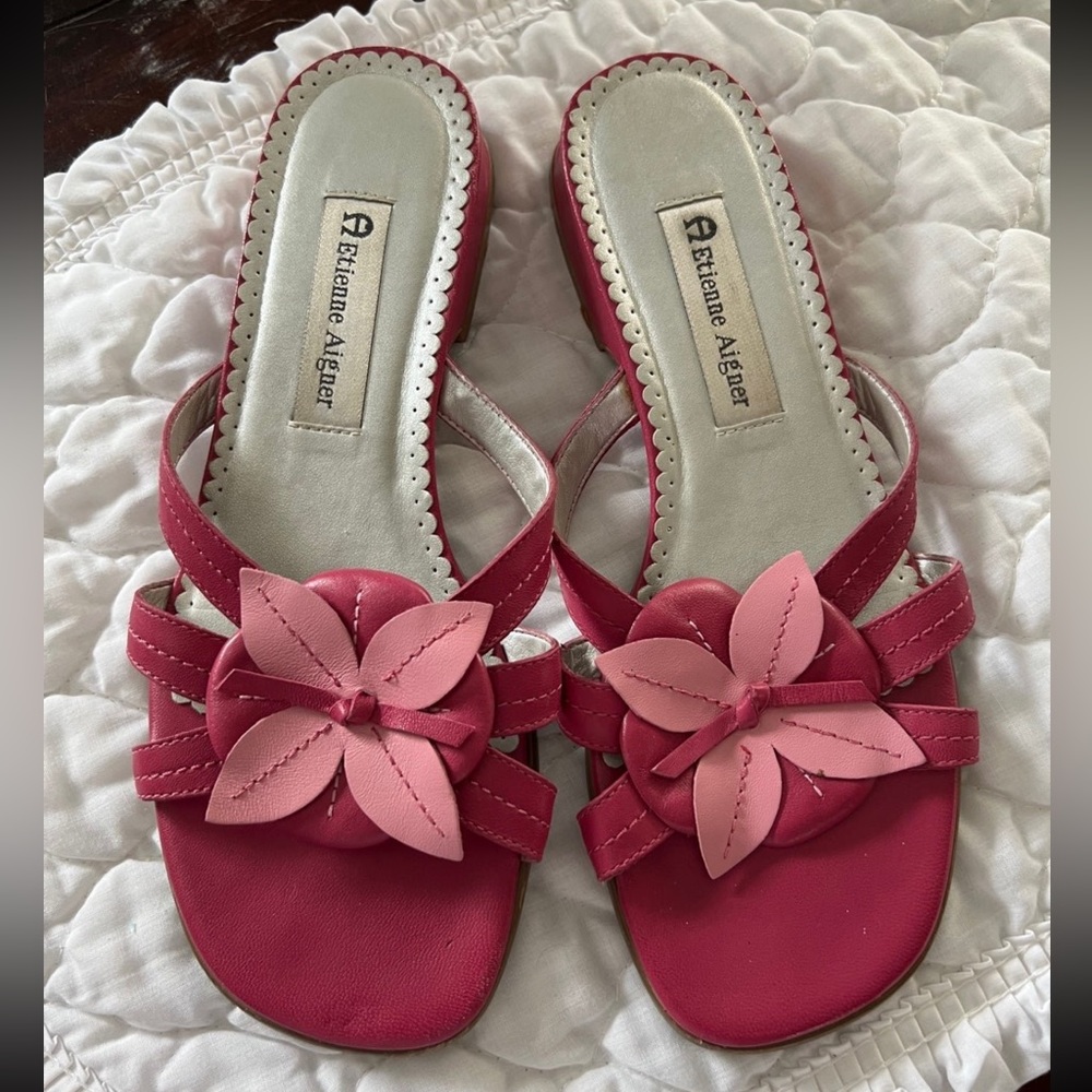 etienne aigner slides